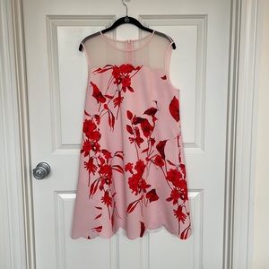 Ted Baker London scalloped dress